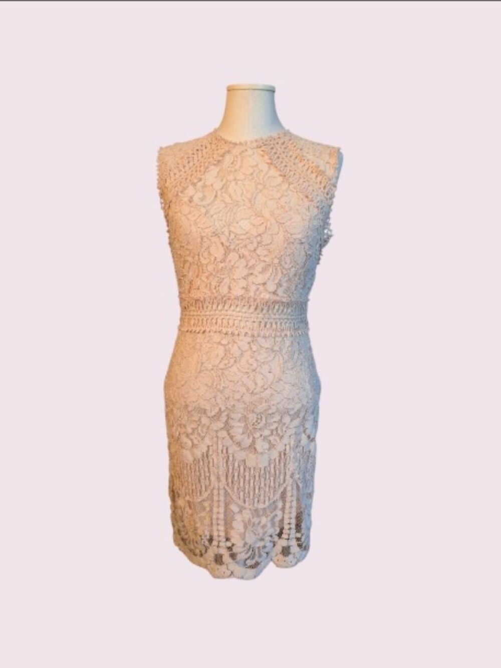 Off shoulder sweet heart hi low dress NWT size 12 semi formal wedding lace